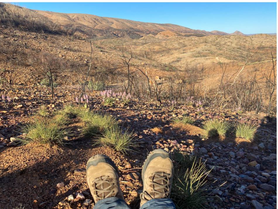 A classic 'feet up' moment on the Larapinta |  <i>#cathyfinchphotography</i>