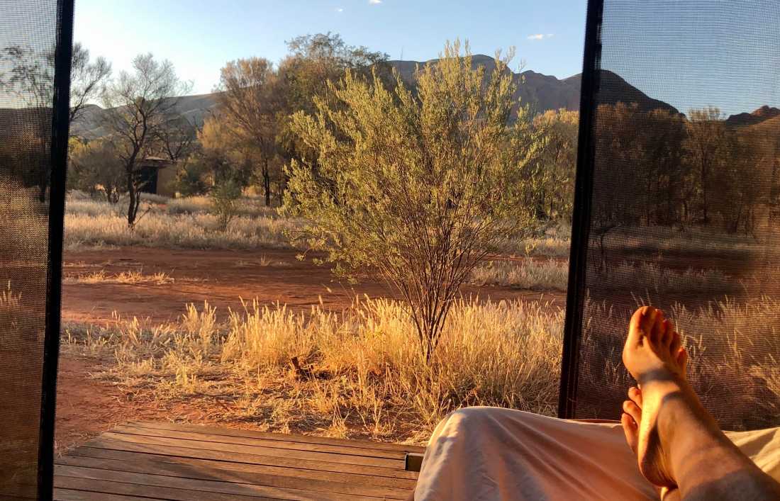 Enjoying the view of Mt Sonder from bed at Fearless camp |  Sue Badyari
